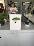Pflanzenexperiment 2